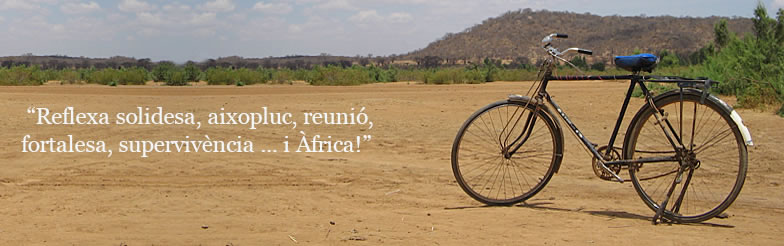 Contacte - baobab