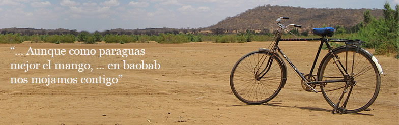 Contacto - baobab