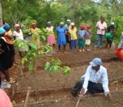 Field visit in Haiti