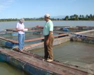 Aquaculture project in Bombita