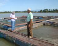 Proyecto de acuicultura, Bombita