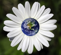 Global Program