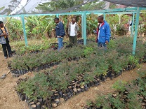 Visita de campo en Oriani, Hait