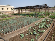 Escuela agraria en Estaquinha