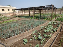 Agriculture school in Estaquinha
