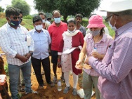 Field work