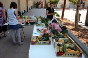 Recoleccin de alimentos